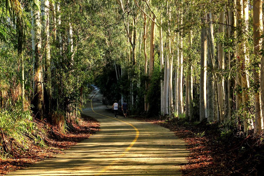 Pousada Sitio Do Sossego Monte Alegre do Sul Ngoại thất bức ảnh